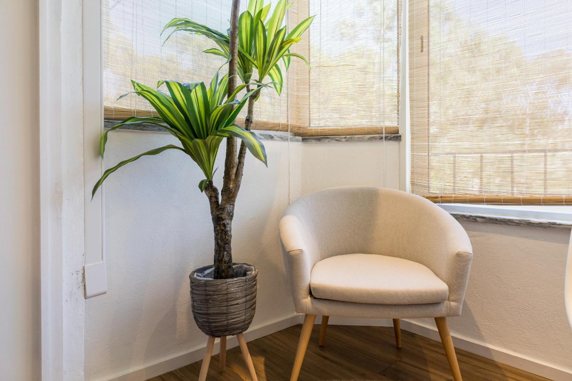 Beguest Cascais Cozy Studio ภายนอก รูปภาพ